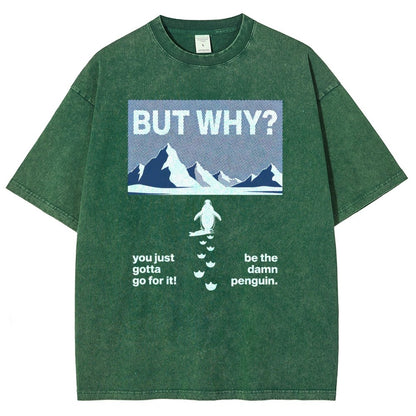 BUT WHY Vintage Distressed T-shirt
