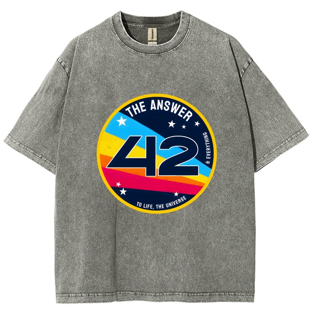 The Answer is 42 Vintage Distressed T-shirt