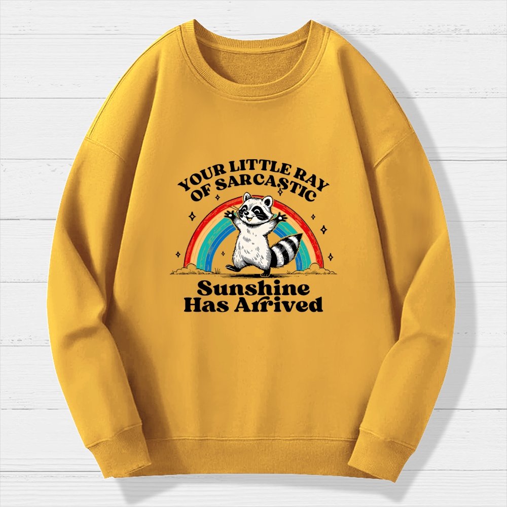 Your Little Ray of Sarcastic Sunshine Has Arrived Geek Cotton Sweatshirt