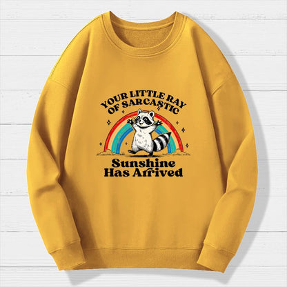 Your Little Ray of Sarcastic Sunshine Has Arrived Geek Cotton Sweatshirt