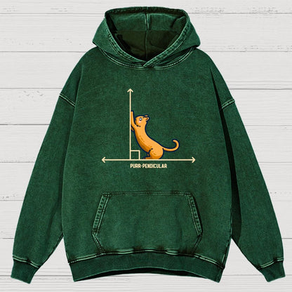 Purr-Pendicular Cute Maths Cat Premium Vintage Distressed Hoodie