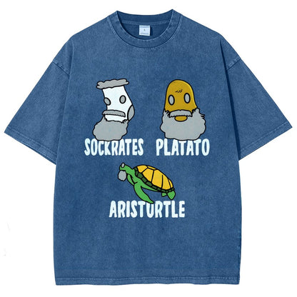 Sockrates Platato Aristurtle Vintage Distressed T-shirt
