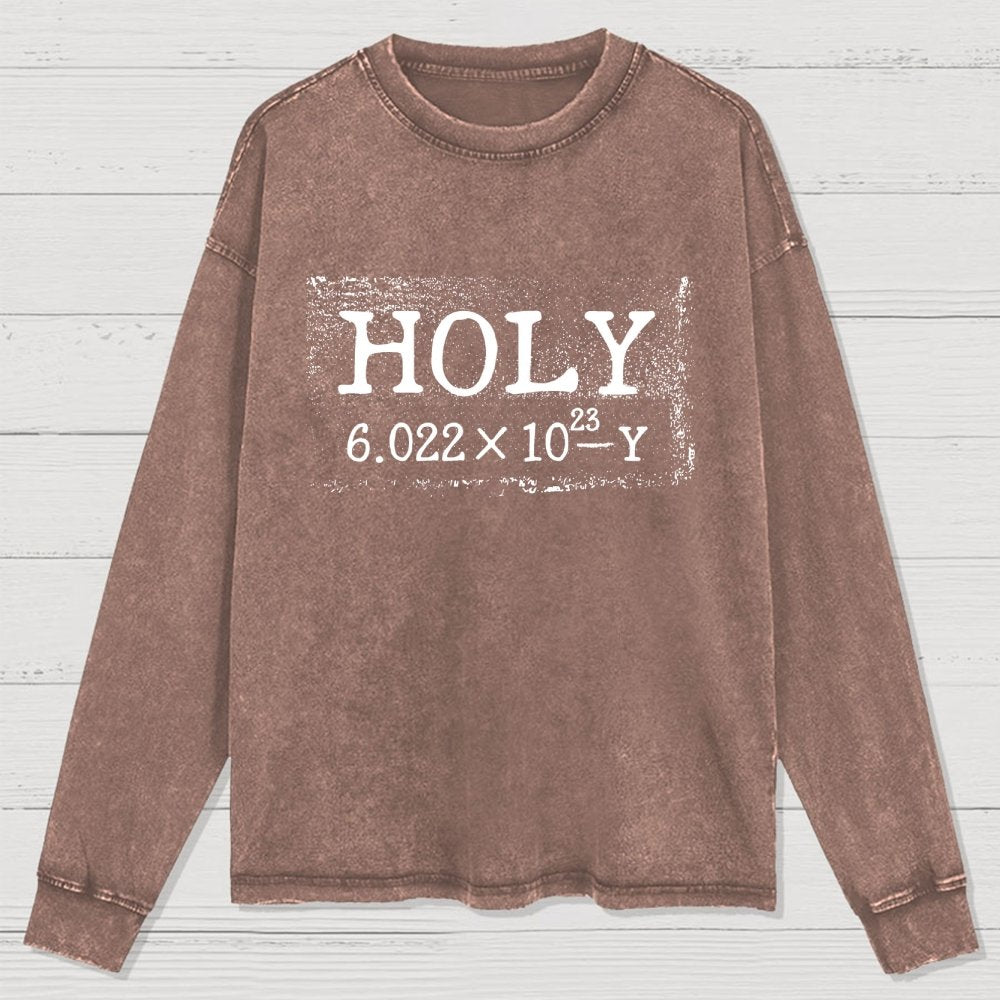 Holy Moley Avogadro Mole  Funny Washed Long Sleeve Tee