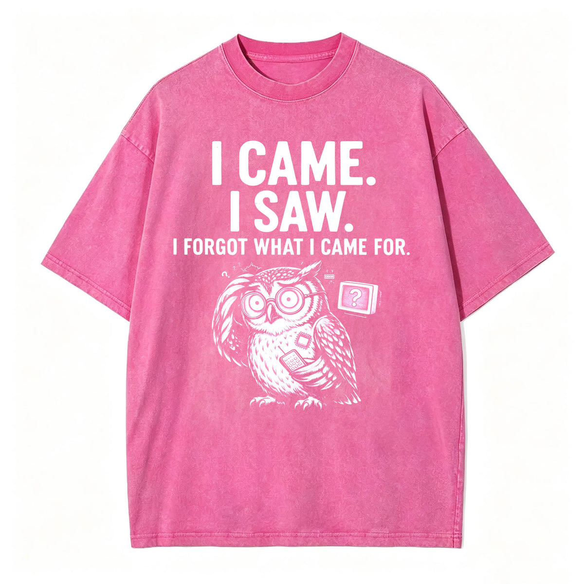 I Came. I Saw. I Forgot What I Came For. Funny Owl Vintage T-Shirt
