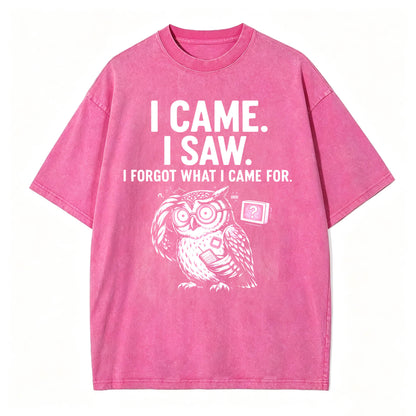 I Came. I Saw. I Forgot What I Came For. Funny Owl Vintage T-Shirt