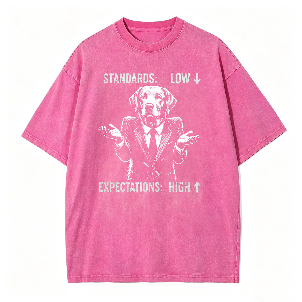 Standards Low Expectations High Funny Sarcastic T-Shirt