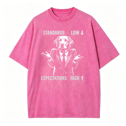 Standards Low Expectations High Funny Sarcastic T-Shirt