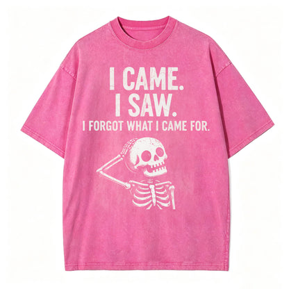 I Came. I Saw. I Forgot What I Came For. Funny Dark Humor T-Shirt