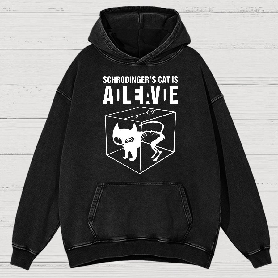 Schrodinger's Cat Vintage Distressed Hoodie