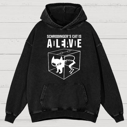 Schrodinger's Cat Vintage Distressed Hoodie
