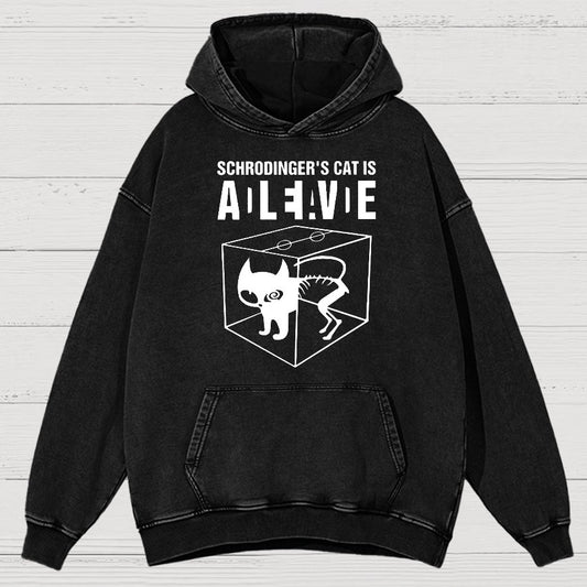 Schrodinger's Cat Vintage Distressed Hoodie