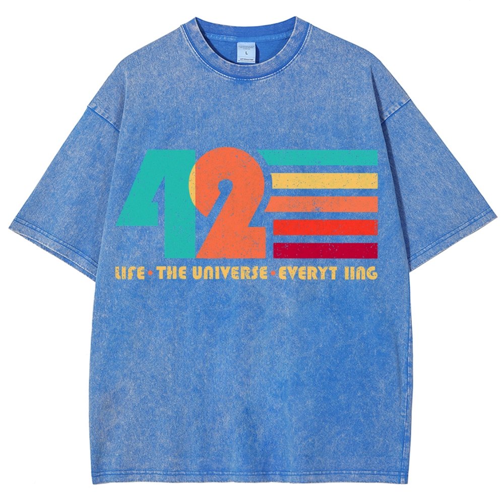 The Answer Is 42 Vintage Distressed T-shirt