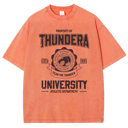 Mystic Valley University Vintage Distressed T-shirt