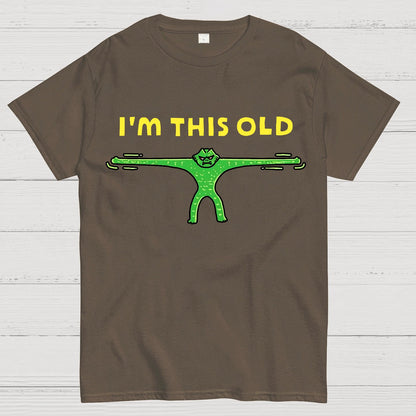Old As Stretch Geek T-Shirt
