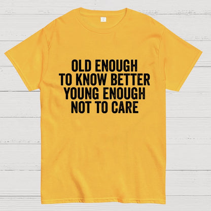 Old Enough To Know Better, Young Enough Not To Care Geek T-Shirt