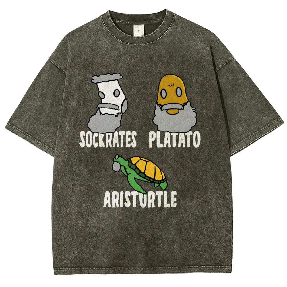 Sockrates Platato Aristurtle Vintage Distressed T-shirt