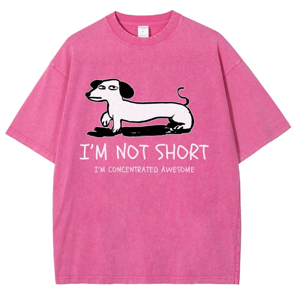 I'm Not Short Vintage Distressed T-shirt