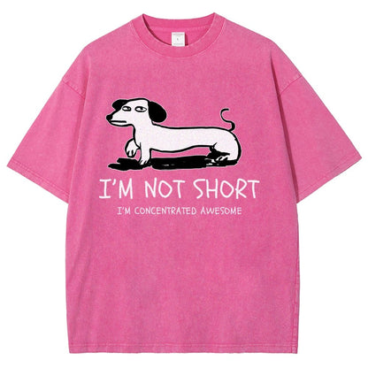 I'm Not Short Vintage Distressed T-shirt