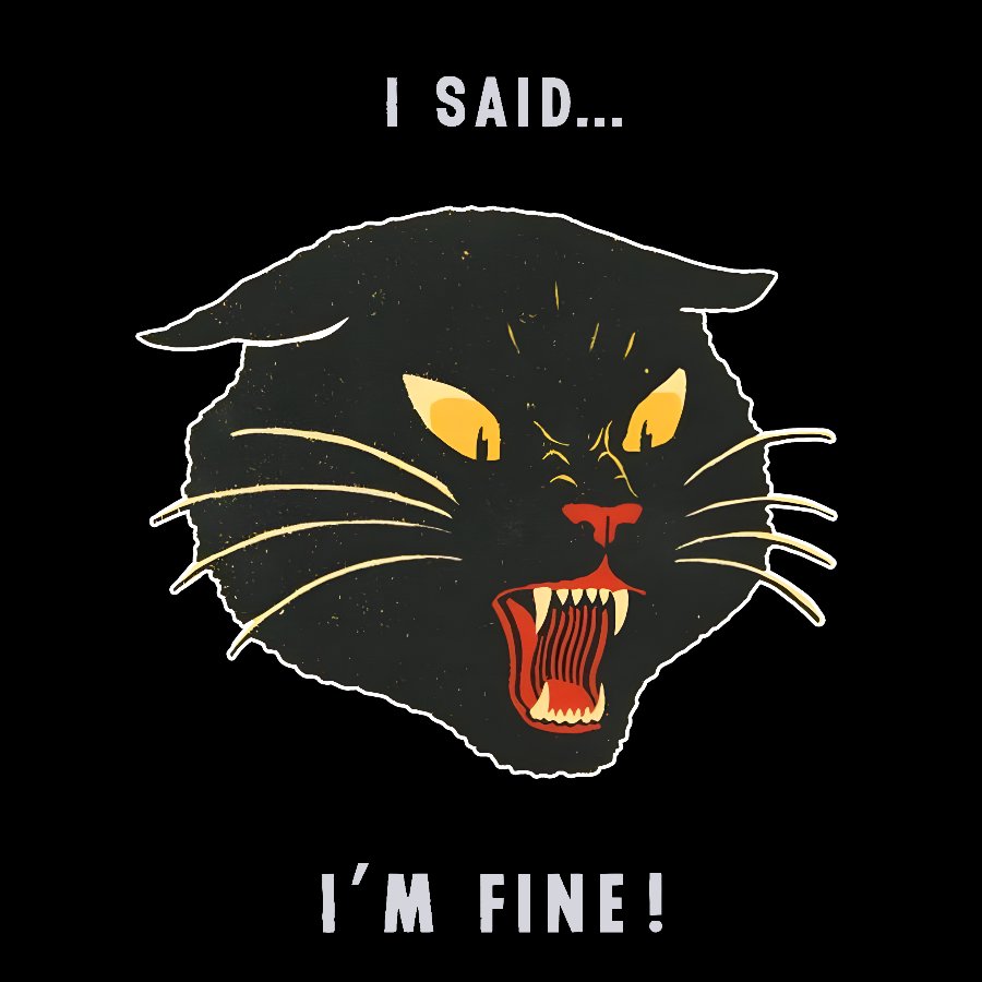 I Said I'm Fine！Geek Cotton Sweatshirt