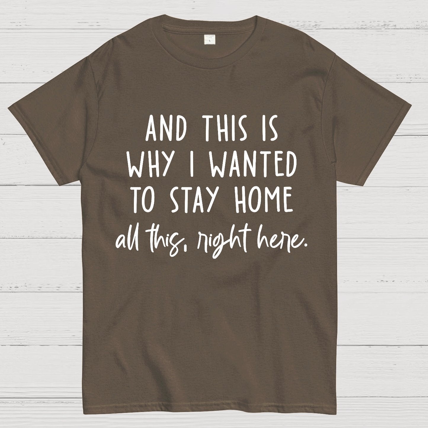 Sarcastic Introvert And This Is Why I Wanted To Stay Home Geek T-Shirt