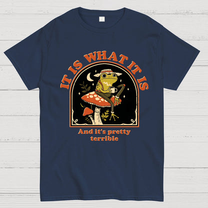 It Is What It Is And It's Pretty Terrible Geek T-Shirt