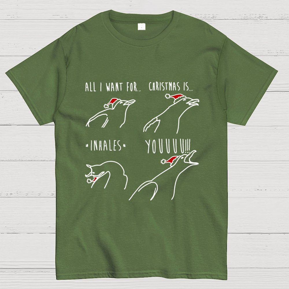 All I Want For Christmas Is You Geek T-Shirt