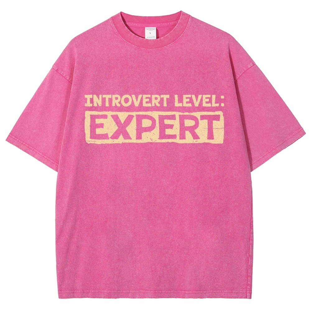 Introvert Level:Expert Vintage Distressed T-shirt