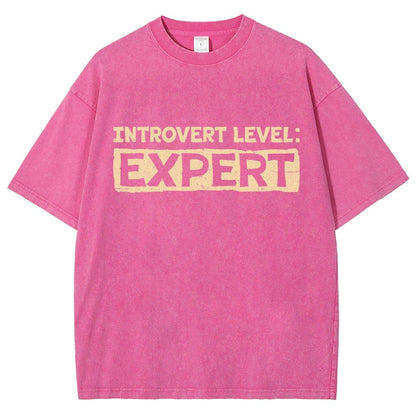 Introvert Level:Expert Vintage Distressed T-shirt