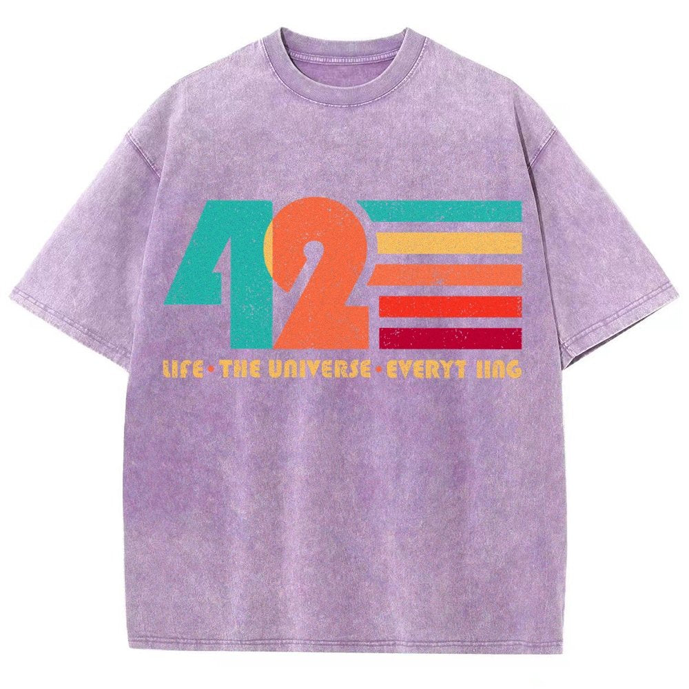 The Answer Is 42 Vintage Distressed T-shirt