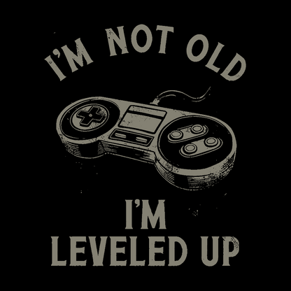 Not Old But Leveled Up Geek T-Shirt