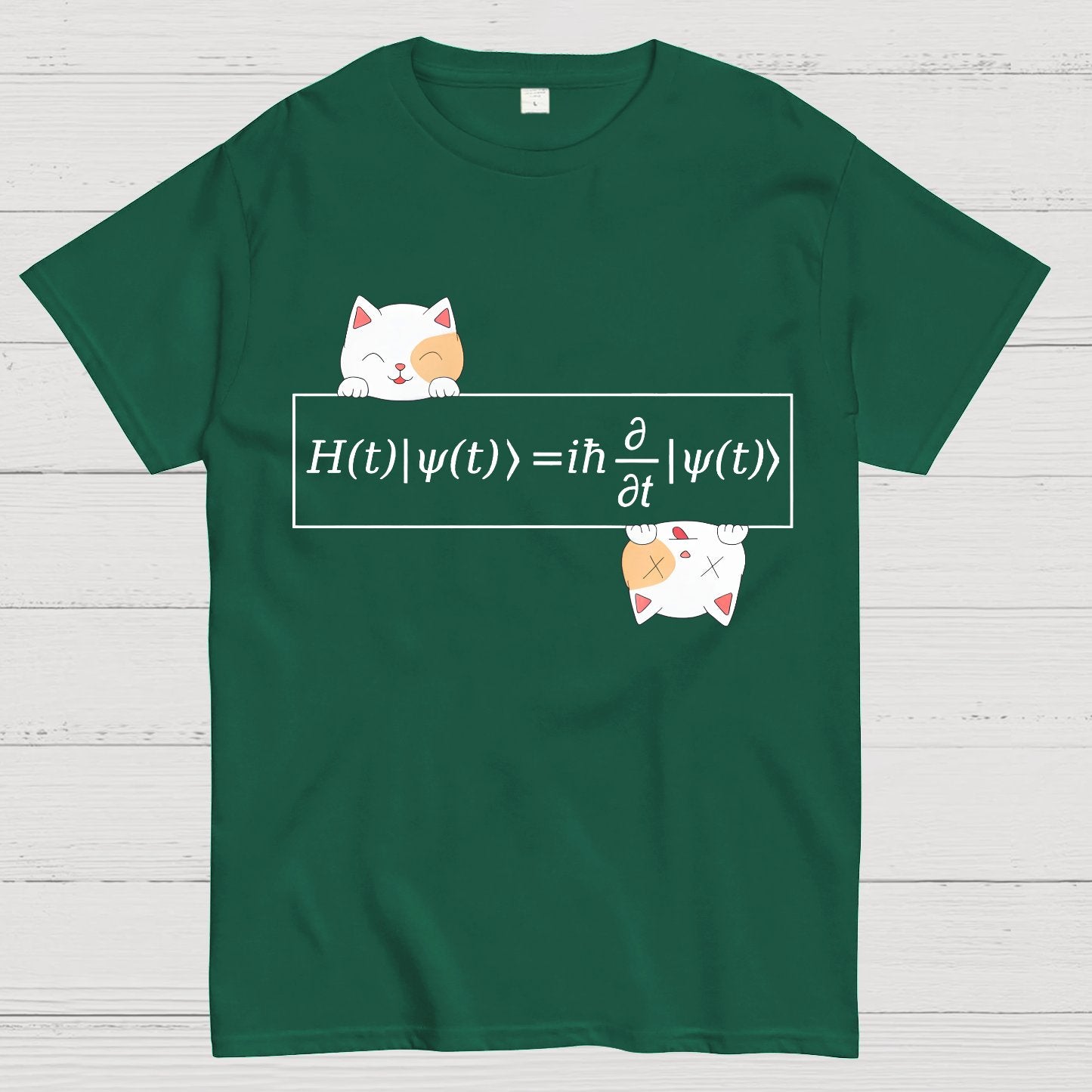 Schrödinger equation Geeky T-Shirt