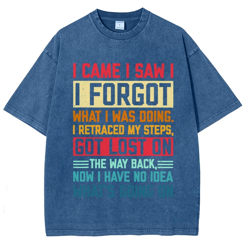 I Came I Saw I Forgot What I Was Doing Sarcastic Vintage Distressed T-shirt
