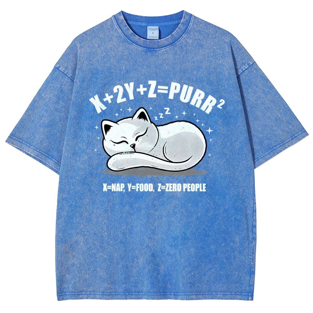 Purrfect Equation Vintage Distressed T-shirt