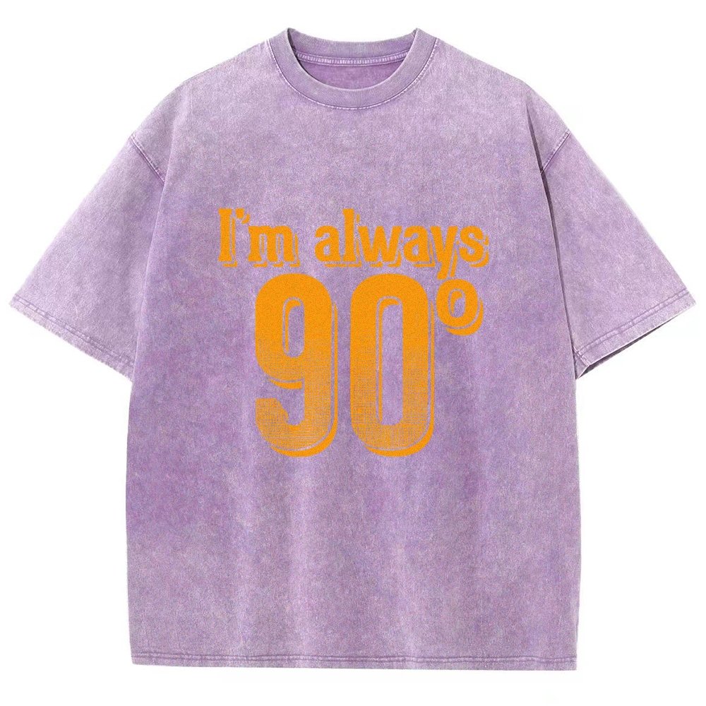 I'm Always Right Math Vintage Distressed T-shirt