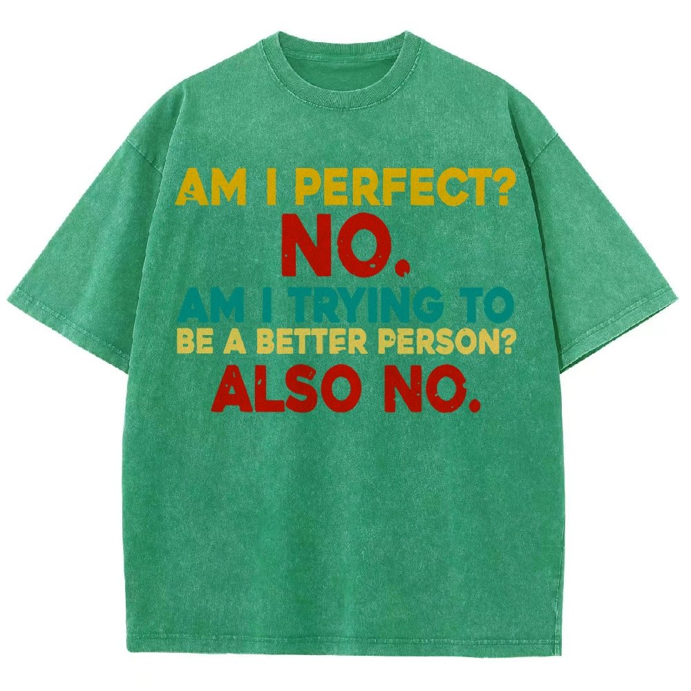 Am I Perfect No Am I Trying To Be A Better Person Also No Funny Quote Vintage Distressed T-shirt
