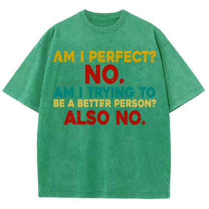Am I Perfect No Am I Trying To Be A Better Person Also No Funny Quote Vintage Distressed T-shirt