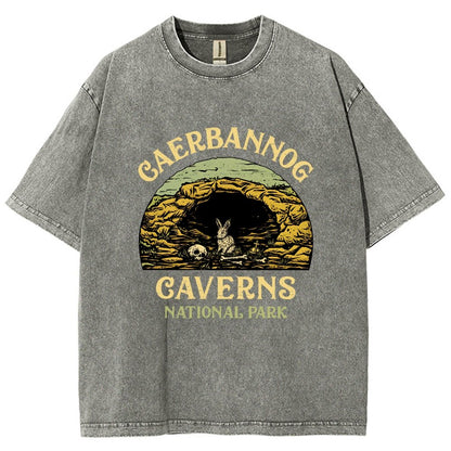 Mystic Caverns National Park Vintage Distressed T-shirt