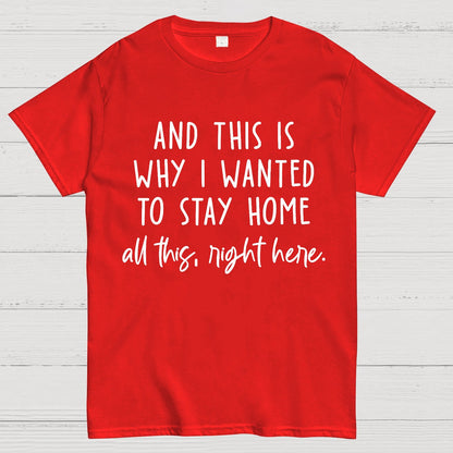 Sarcastic Introvert And This Is Why I Wanted To Stay Home Geek T-Shirt