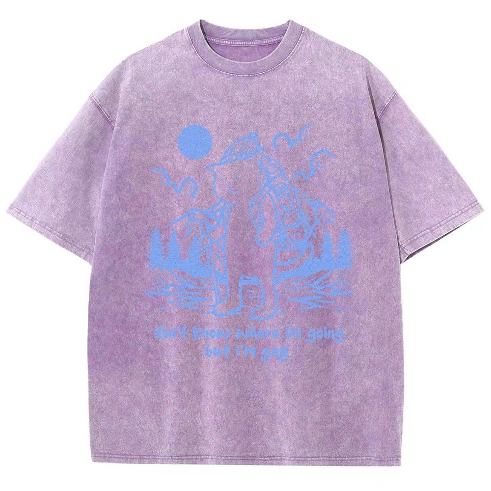 Don't Know Where I'm Going But I'm Gay Vintage Distressed T-shirt