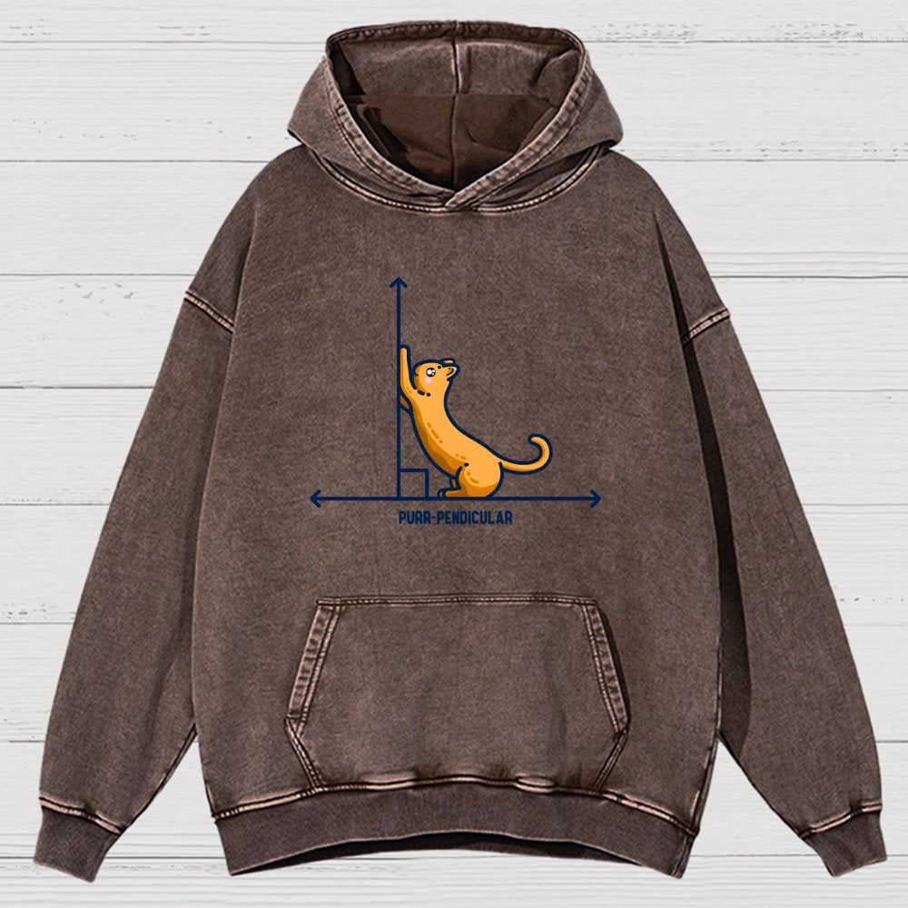 Purr-Pendicular Cute Maths Cat Premium Vintage Distressed Hoodie