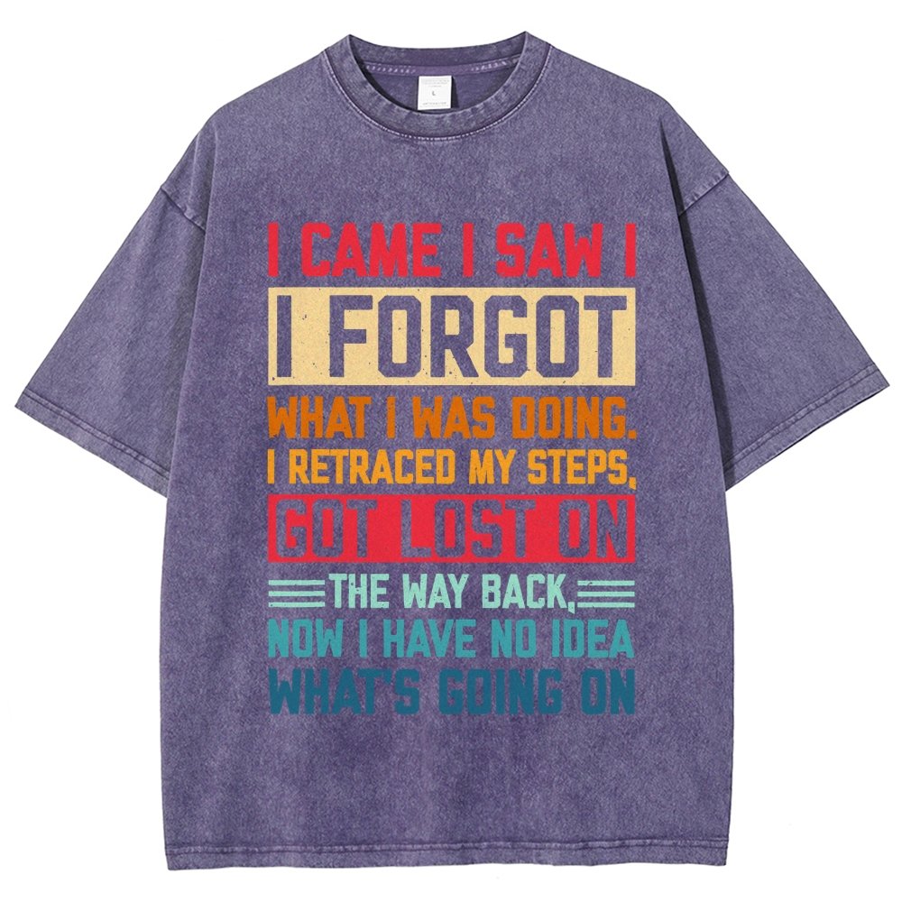 I Came I Saw I Forgot What I Was Doing Sarcastic Vintage Distressed T-shirt