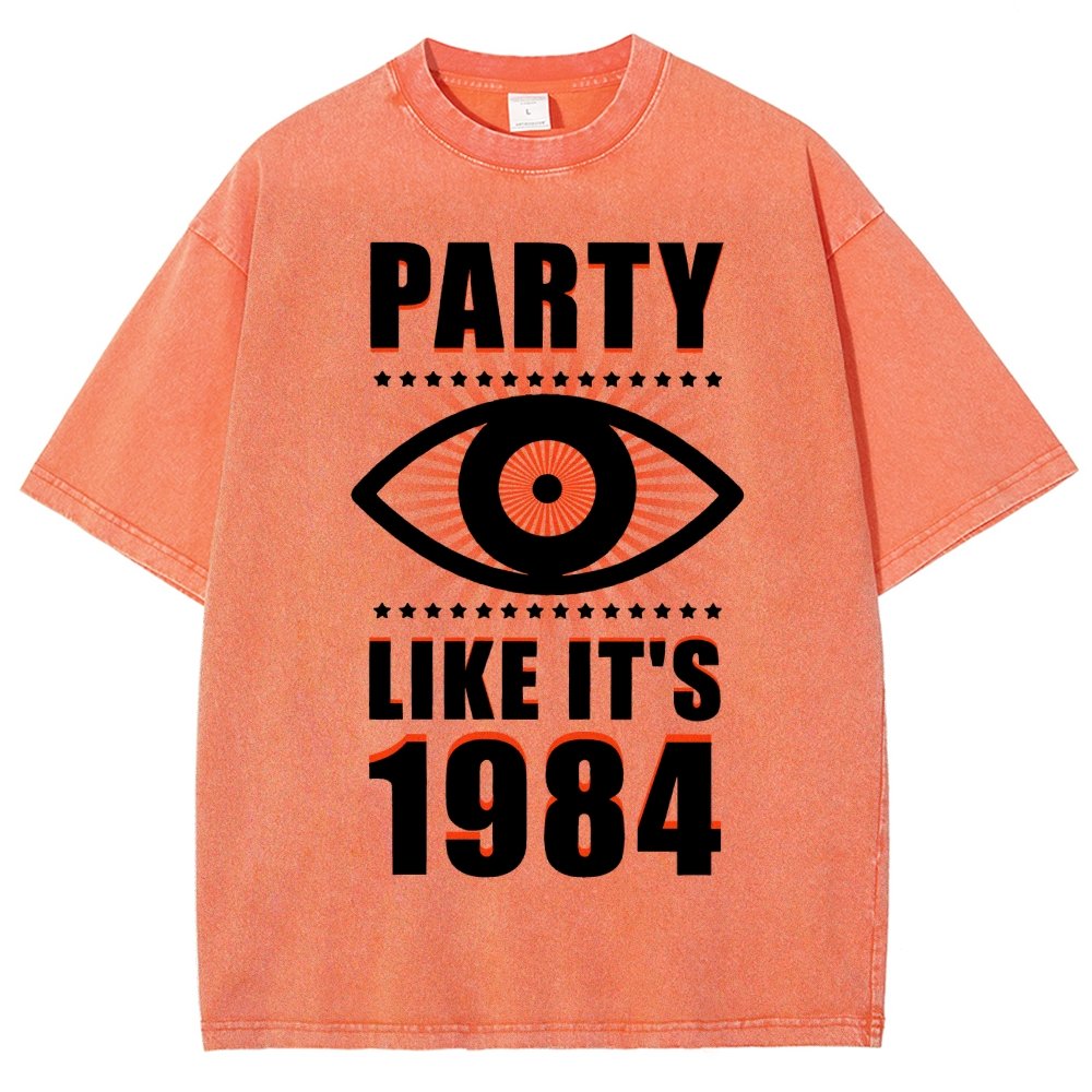 Big Brother is Watching You Party Vintage Distressed T-shirt
