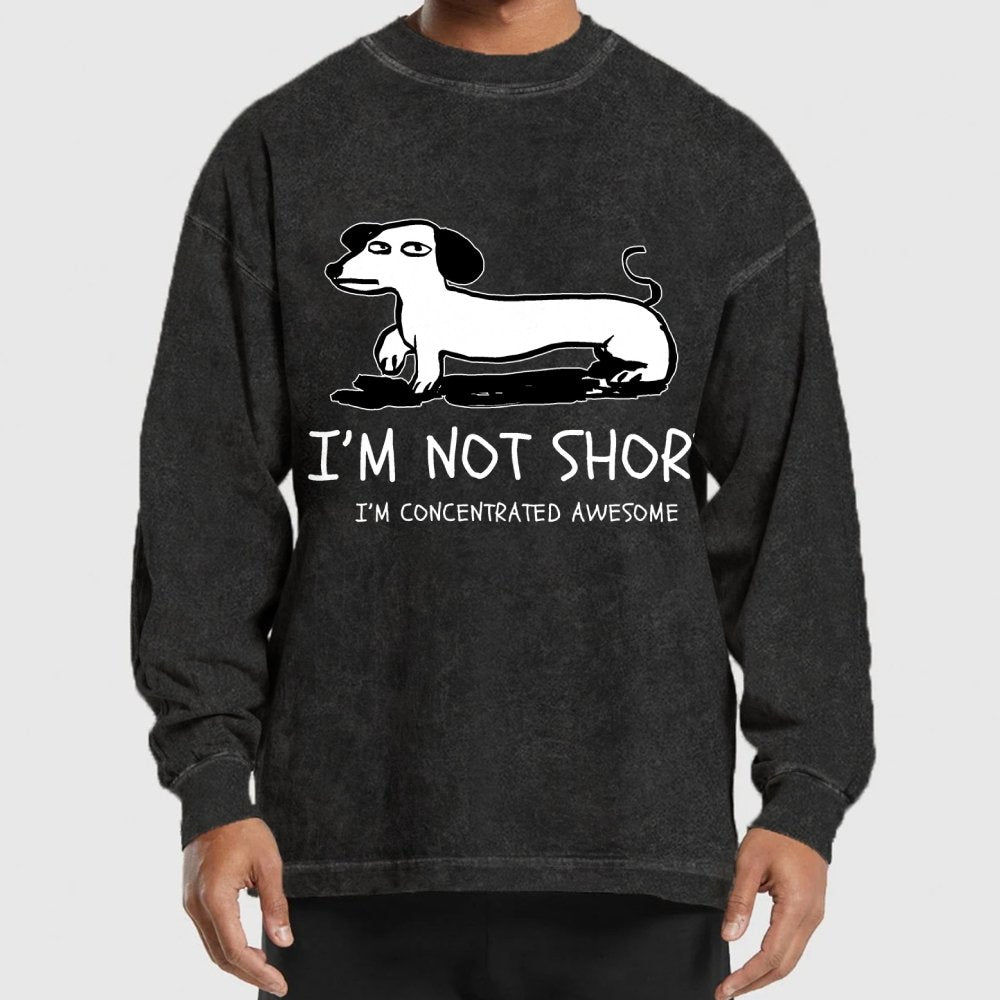I'm Not Short Washed Long Sleeve Tee