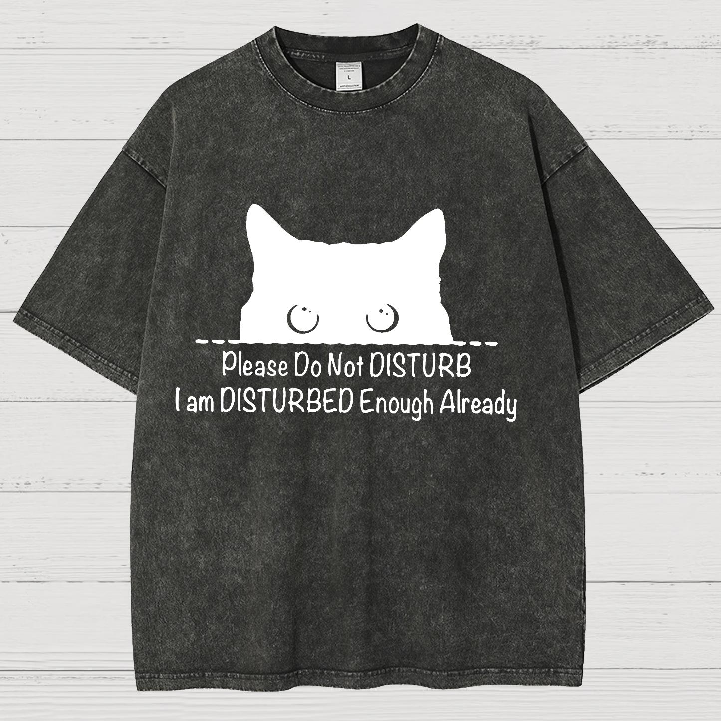 Please Do Not Disturb Vintage Distressed T-shirt