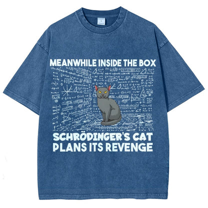 Inside The Box Schrödingers Cat Plans Its Revenge Vintage Distressed T-shirt