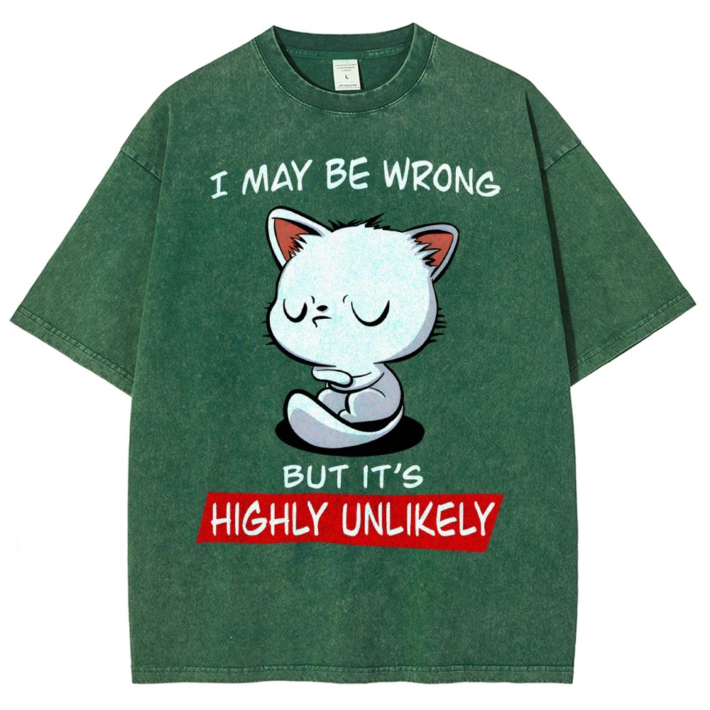 I May Be Wrong Vintage Distressed T-shirt