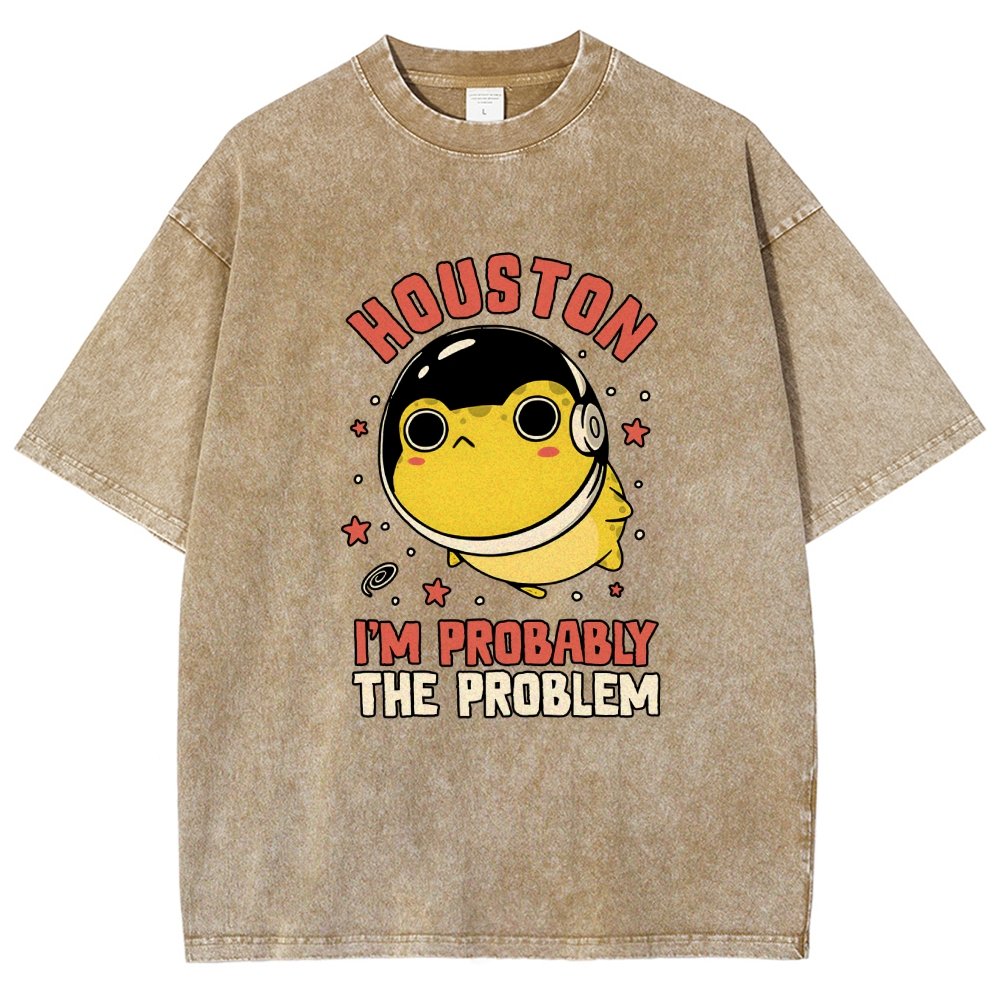 Houston Im Probably The Problem Vintage Distressed T-shirt