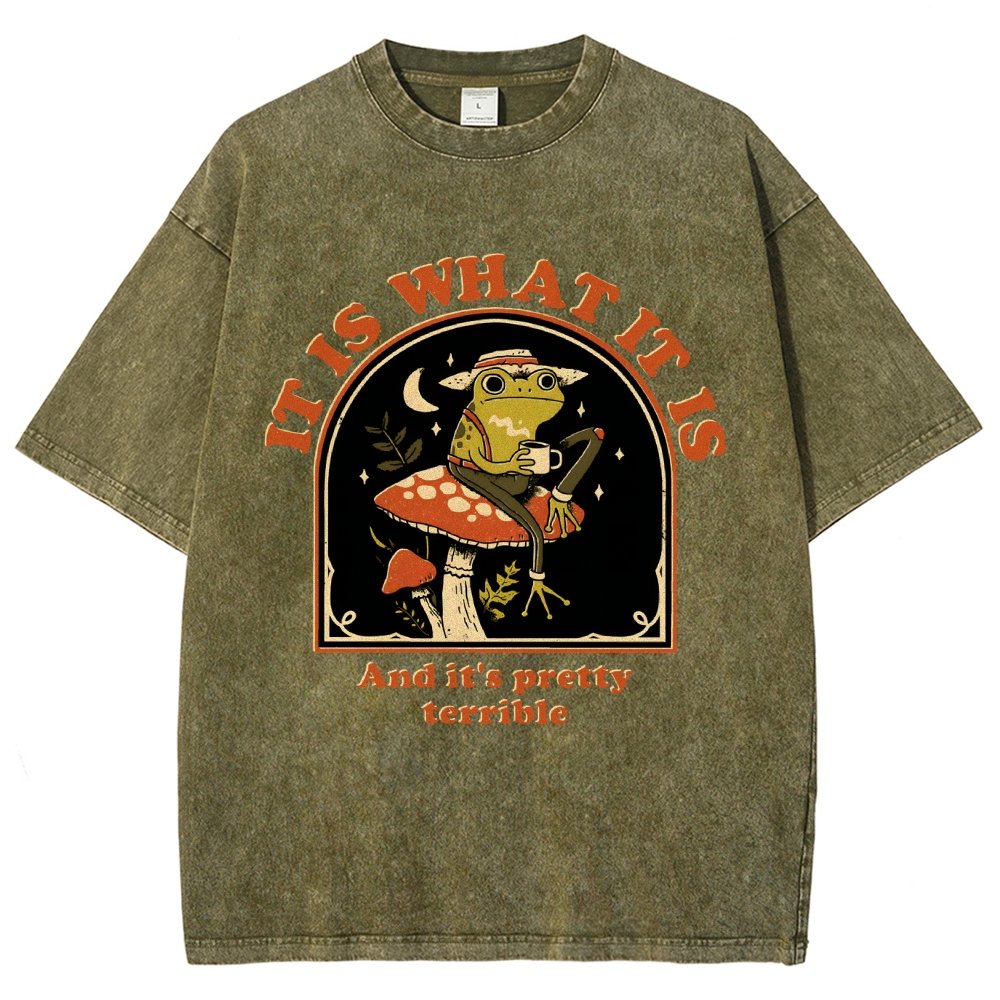 It Is What It Is And It's Pretty Terrible Vintage Distressed T-shirt