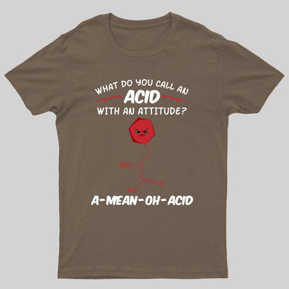 What Do You Call An ACID Geeky T-Shirt