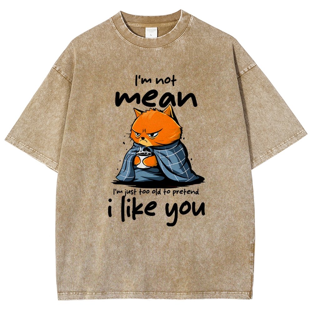 I Am Not Mean Vintage Distressed T-shirt